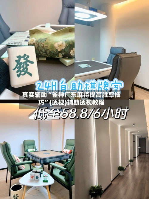 真实辅助“雀神广东麻将提高胜率技巧”(透视)辅助透视教程-第1张图片