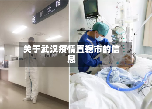 关于武汉疫情直辖市的信息-第1张图片