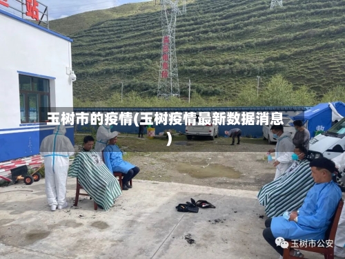 玉树市的疫情(玉树疫情最新数据消息)-第1张图片