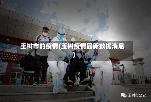 玉树市的疫情(玉树疫情最新数据消息)-第2张图片