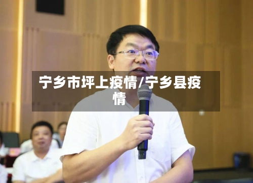 宁乡市坪上疫情/宁乡县疫情-第1张图片