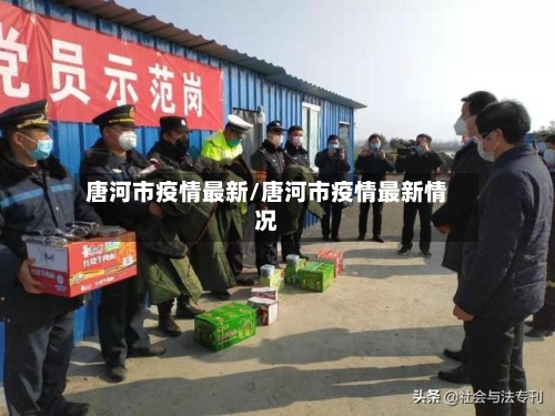 唐河市疫情最新/唐河市疫情最新情况-第2张图片