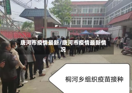 唐河市疫情最新/唐河市疫情最新情况-第1张图片