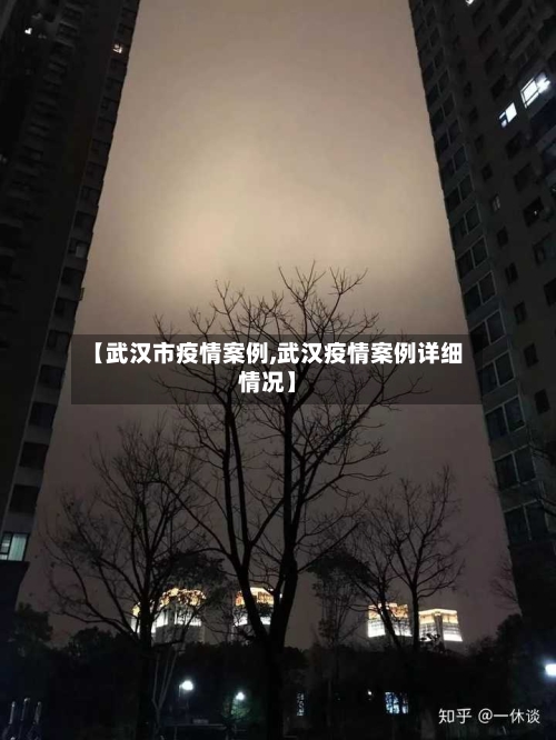 【武汉市疫情案例,武汉疫情案例详细情况】-第2张图片