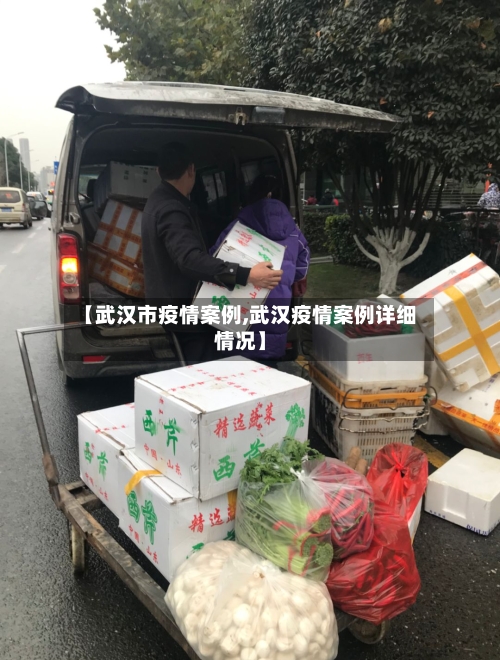 【武汉市疫情案例,武汉疫情案例详细情况】-第3张图片