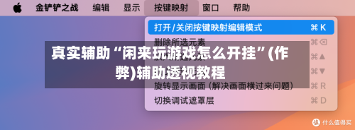 真实辅助“闲来玩游戏怎么开挂”(作弊)辅助透视教程-第1张图片