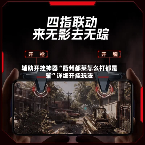 辅助开挂神器“衢州都莱怎么打都是输”详细开挂玩法-第3张图片