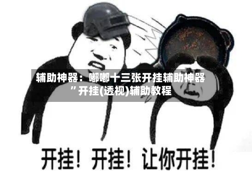 辅助神器：嘟嘟十三张开挂辅助神器”开挂(透视)辅助教程-第1张图片