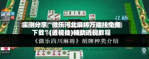 实测分享“微乐河北麻将万能挂免费下载”(透视挂)辅助透视教程-第3张图片