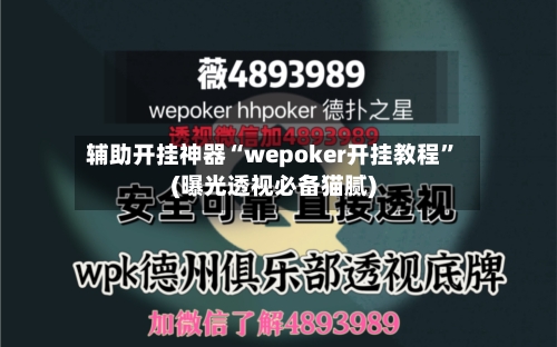 辅助开挂神器“wepoker开挂教程”(曝光透视必备猫腻)-第1张图片