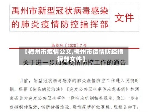 【梅州市疫情公文,梅州市疫情防控指挥部文件】-第2张图片