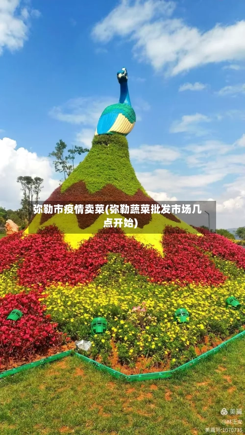 弥勒市疫情卖菜(弥勒蔬菜批发市场几点开始)-第1张图片