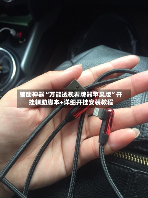 辅助神器“万能透视看牌器苹果版”开挂辅助脚本+详细开挂安装教程-第2张图片