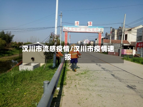 汉川市流感疫情/汉川市疫情速报-第2张图片