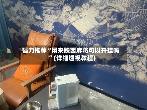 强力推荐“闲来陕西麻将可以开挂吗”(详细透视教程)-第1张图片