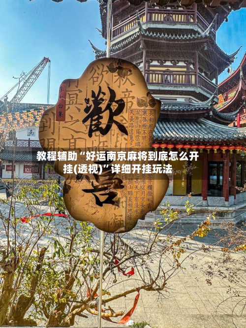 教程辅助“好运南京麻将到底怎么开挂(透视)”详细开挂玩法-第3张图片