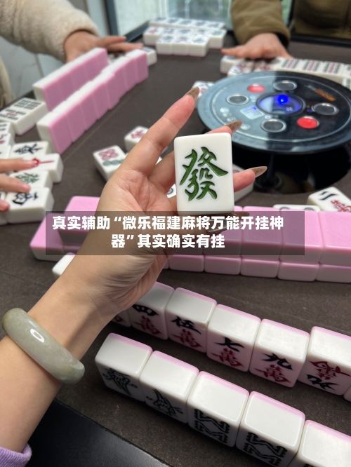 真实辅助“微乐福建麻将万能开挂神器”其实确实有挂-第3张图片