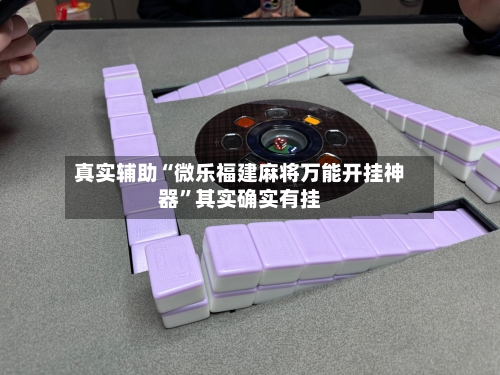 真实辅助“微乐福建麻将万能开挂神器”其实确实有挂-第2张图片