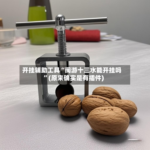 开挂辅助工具“闽游十三水能开挂吗”(原来确实是有插件)-第1张图片
