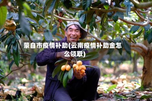 蒙自市疫情补助(云南疫情补助金怎么领取)-第2张图片