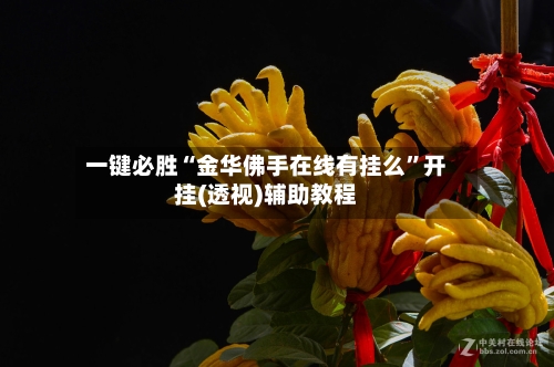 一键必胜“金华佛手在线有挂么	”开挂(透视)辅助教程-第1张图片