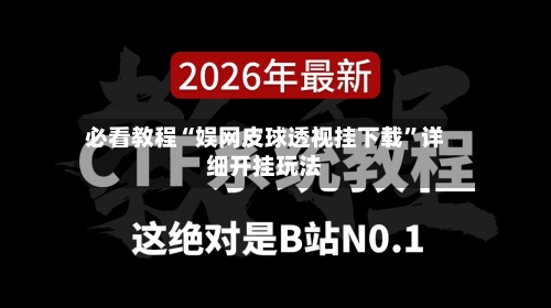 必看教程“娱网皮球透视挂下载	”详细开挂玩法-第2张图片
