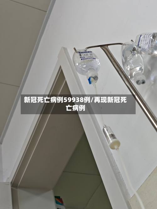 新冠死亡病例59938例/再现新冠死亡病例-第3张图片