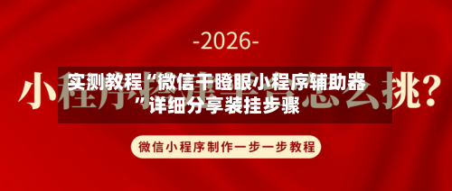 实测教程“微信干瞪眼小程序辅助器”详细分享装挂步骤-第3张图片
