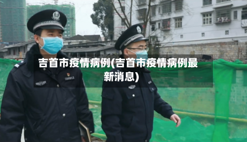 吉首市疫情病例(吉首市疫情病例最新消息)-第2张图片