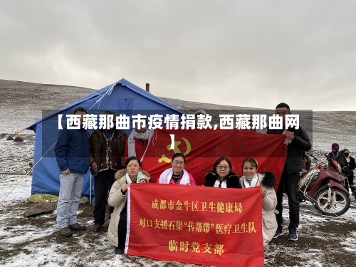 【西藏那曲市疫情捐款,西藏那曲网】-第2张图片