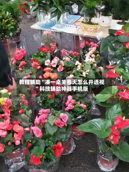 教程辅助“凑一桌关春天怎么开透视”科技辅助神器手机版-第3张图片