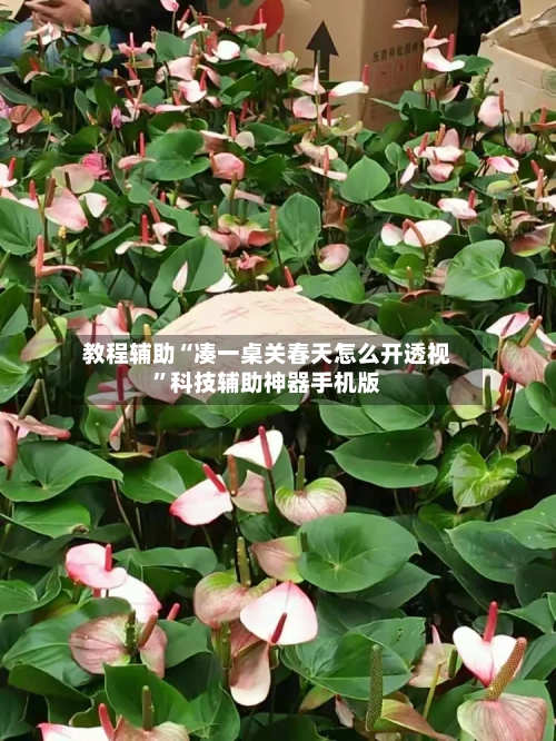 教程辅助“凑一桌关春天怎么开透视”科技辅助神器手机版-第2张图片