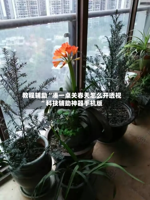教程辅助“凑一桌关春天怎么开透视”科技辅助神器手机版-第1张图片