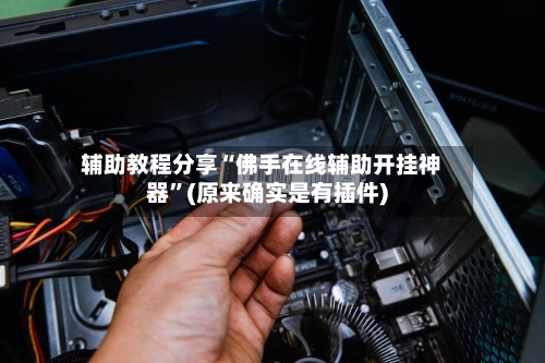 辅助教程分享“佛手在线辅助开挂神器”(原来确实是有插件)-第1张图片