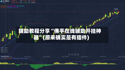 辅助教程分享“佛手在线辅助开挂神器	”(原来确实是有插件)-第2张图片