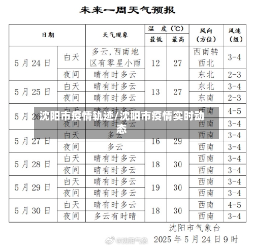 沈阳市疫情轨迹/沈阳市疫情实时动态-第1张图片