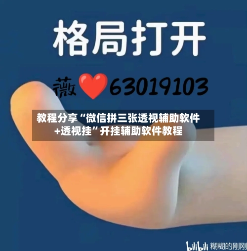 教程分享“微信拼三张透视辅助软件+透视挂”开挂辅助软件教程-第2张图片