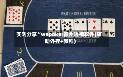 实测分享“wepoker德州透视软件(辅助外挂+教程)-第2张图片