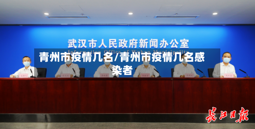 青州市疫情几名/青州市疫情几名感染者-第2张图片