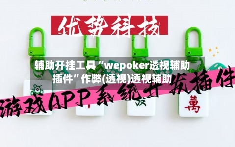 辅助开挂工具“wepoker透视辅助插件”作弊(透视)透视辅助-第1张图片