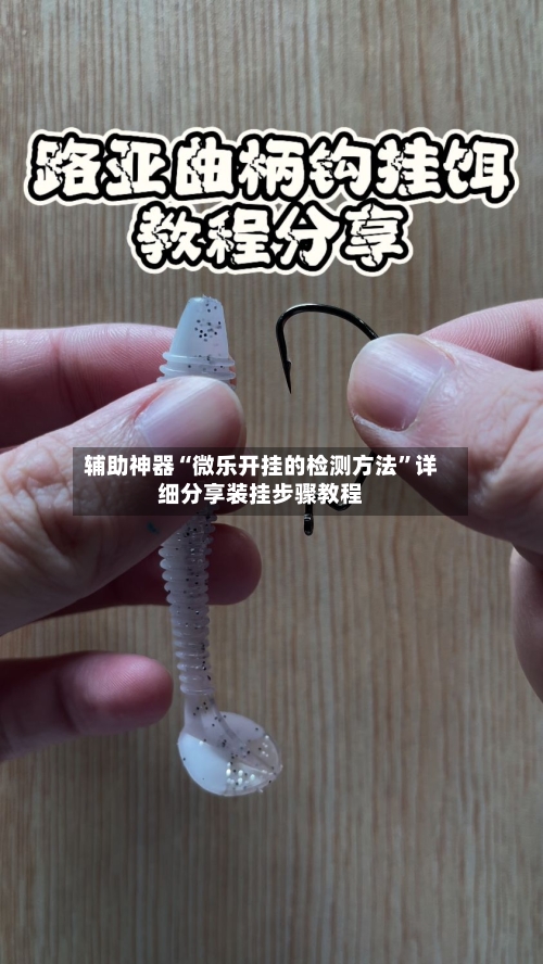 辅助神器“微乐开挂的检测方法”详细分享装挂步骤教程-第1张图片
