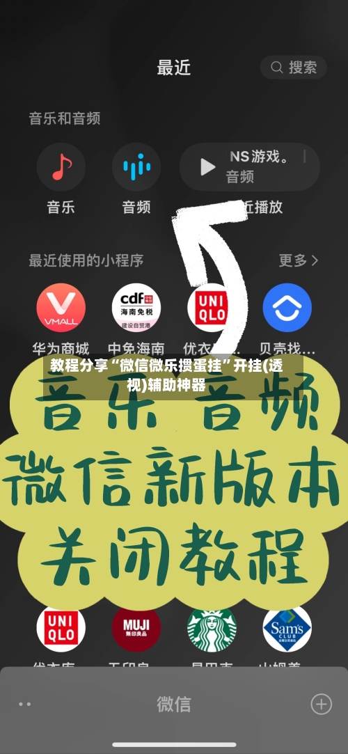 教程分享“微信微乐掼蛋挂	”开挂(透视)辅助神器-第1张图片
