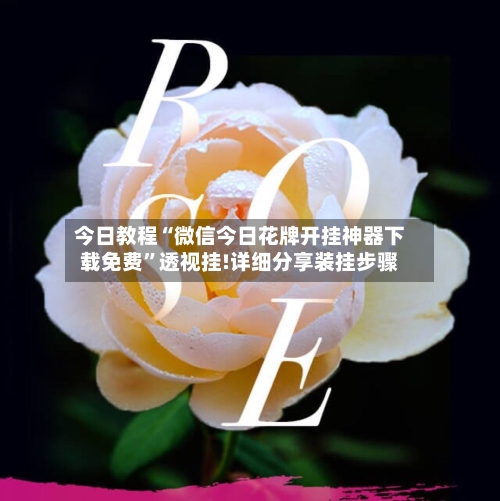 今日教程“微信今日花牌开挂神器下载免费”透视挂!详细分享装挂步骤-第1张图片