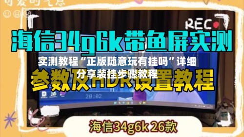 实测教程“正版随意玩有挂吗”详细分享装挂步骤教程-第2张图片