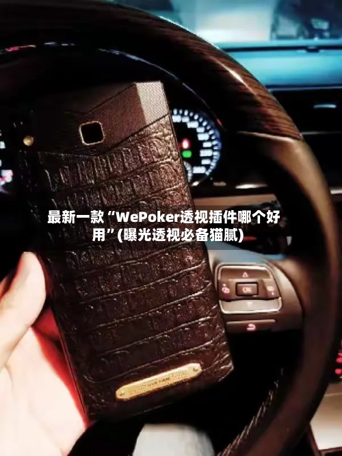 最新一款“WePoker透视插件哪个好用”(曝光透视必备猫腻)-第2张图片