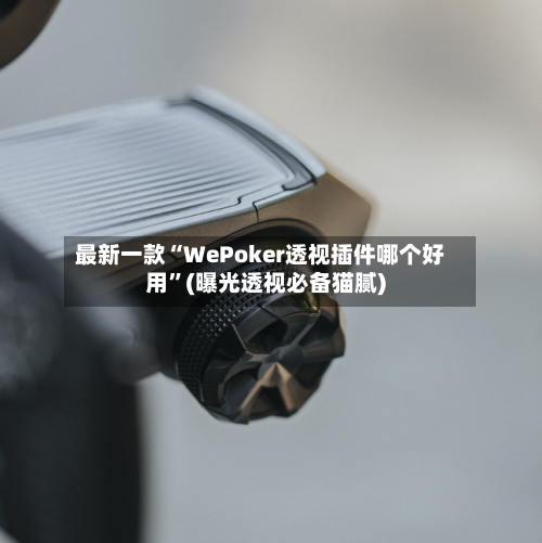 最新一款“WePoker透视插件哪个好用	”(曝光透视必备猫腻)-第1张图片