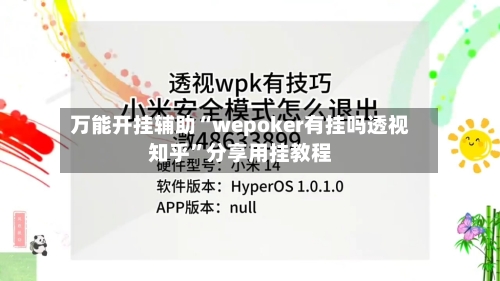 万能开挂辅助“wepoker有挂吗透视知乎”分享用挂教程-第3张图片