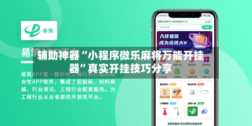 辅助神器“小程序微乐麻将万能开挂器	”真实开挂技巧分享-第2张图片