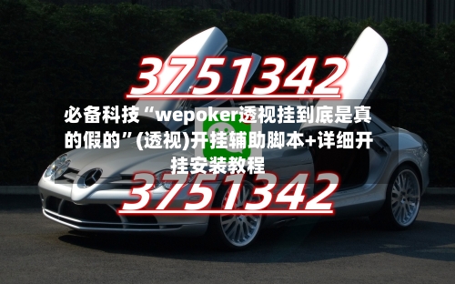 必备科技“wepoker透视挂到底是真的假的”(透视)开挂辅助脚本+详细开挂安装教程-第1张图片