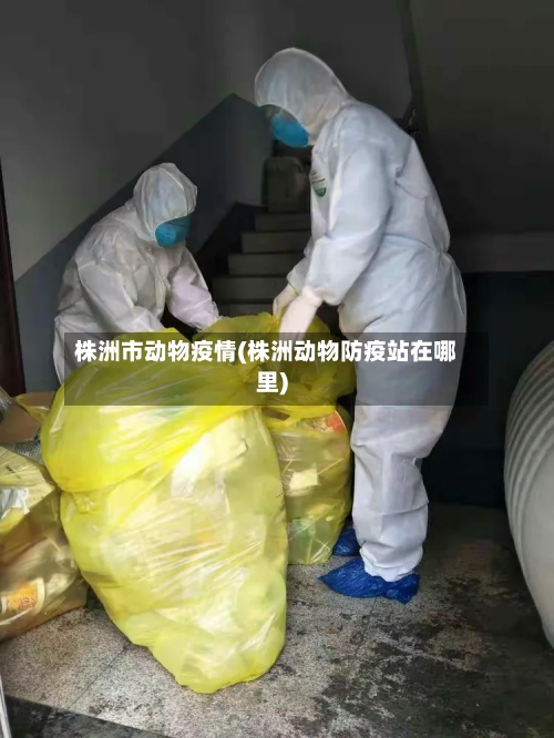 株洲市动物疫情(株洲动物防疫站在哪里)-第2张图片